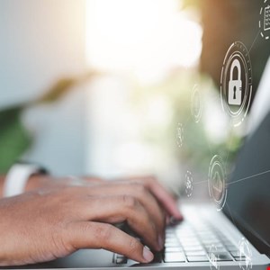 Storm infostealer control panel displaying stolen browser credentials and crypto wallet data