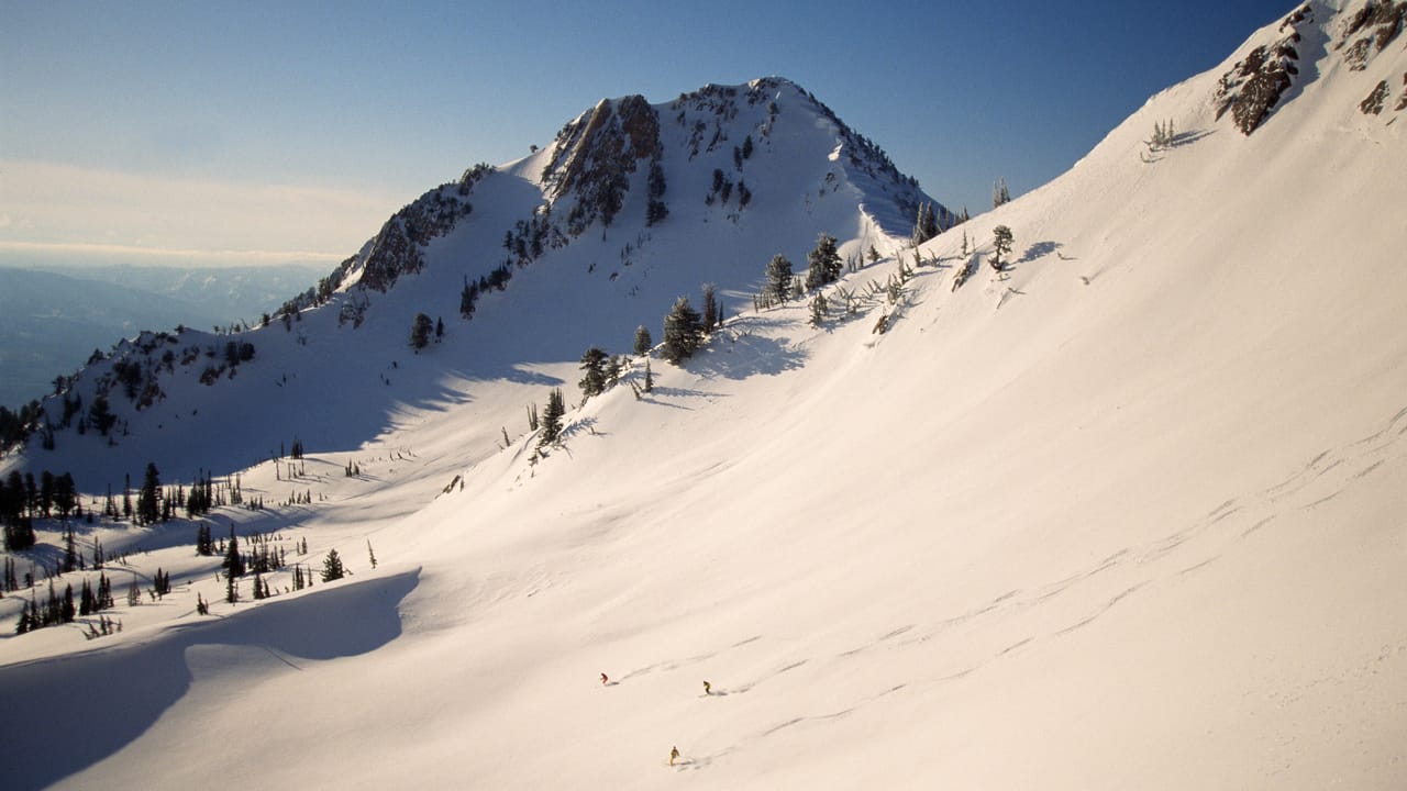 Abstract representation of a digital network with interconnected nodes and data streams, some highlighted in red to indicate threats.
