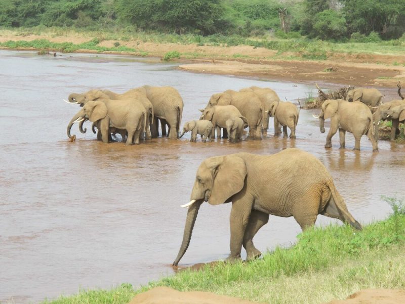 Compromised fake Australian news site loading ScanBox JavaScript keylogger