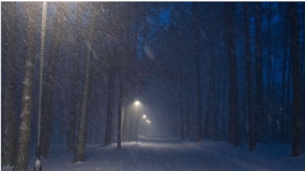 Compromised SOHO router with DNS traffic leaking credentials to Russian C2 server